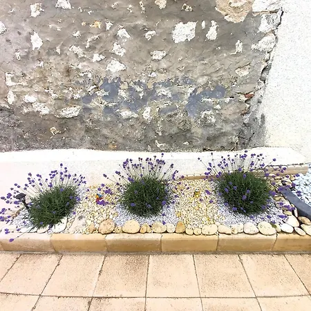 Palais Sur Mer - En Rdc - Les Flots Bleus